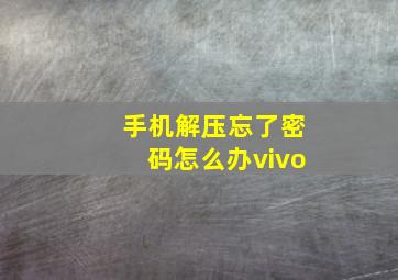 手机解压忘了密码怎么办vivo