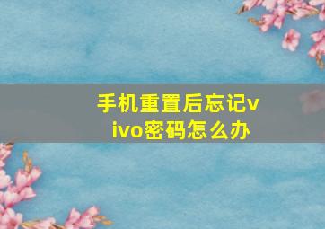 手机重置后忘记vivo密码怎么办