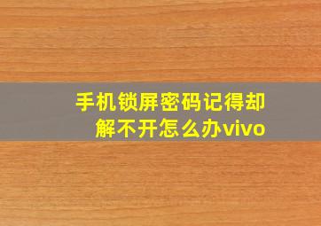 手机锁屏密码记得却解不开怎么办vivo