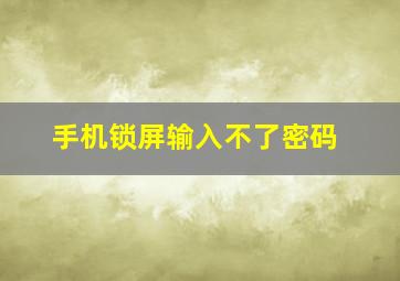 手机锁屏输入不了密码