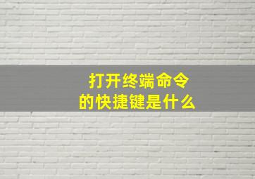 打开终端命令的快捷键是什么