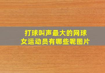 打球叫声最大的网球女运动员有哪些呢图片