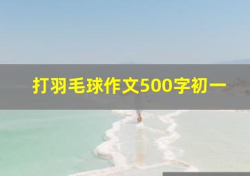 打羽毛球作文500字初一