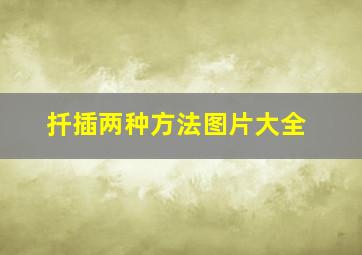 扦插两种方法图片大全