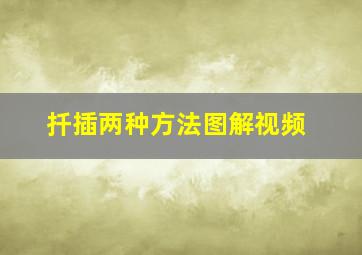 扦插两种方法图解视频