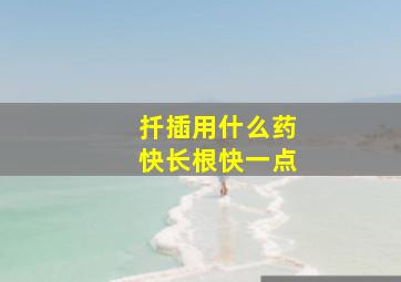 扦插用什么药快长根快一点