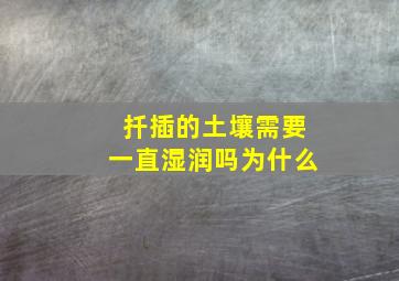 扦插的土壤需要一直湿润吗为什么