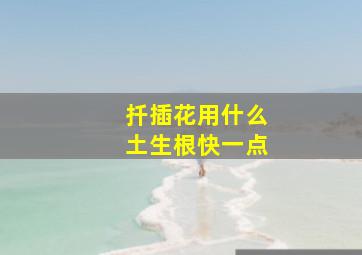 扦插花用什么土生根快一点