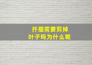 扦插需要剪掉叶子吗为什么呢