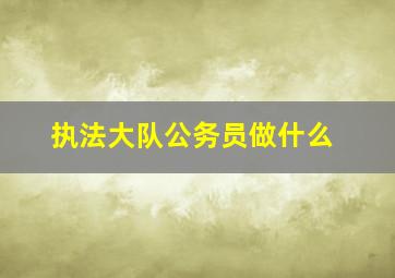 执法大队公务员做什么