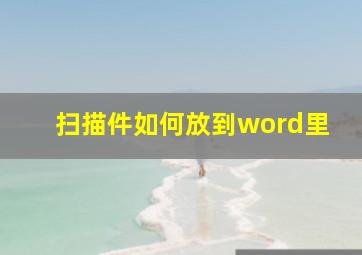 扫描件如何放到word里