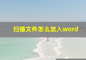 扫描文件怎么放入word