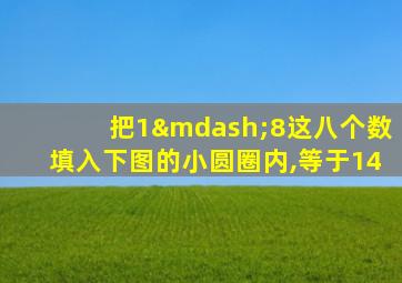 把1—8这八个数填入下图的小圆圈内,等于14