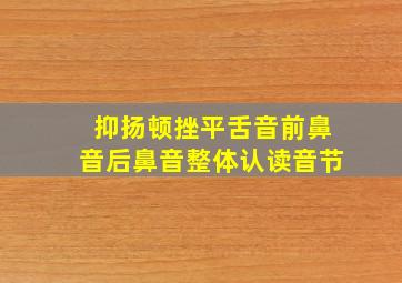 抑扬顿挫平舌音前鼻音后鼻音整体认读音节