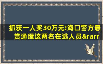 抓获一人奖30万元!海口警方悬赏通缉这两名在逃人员→