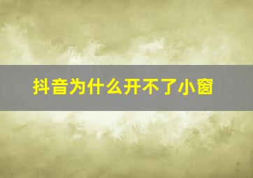 抖音为什么开不了小窗