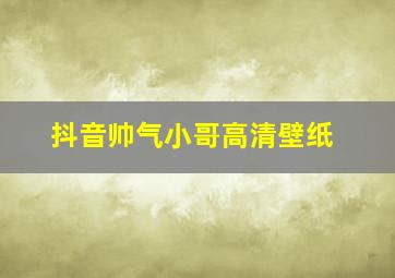 抖音帅气小哥高清壁纸