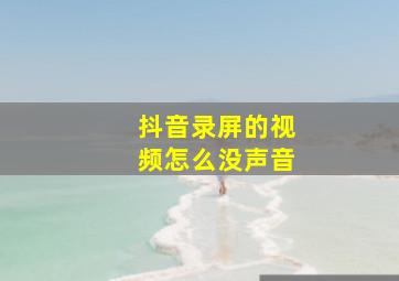 抖音录屏的视频怎么没声音