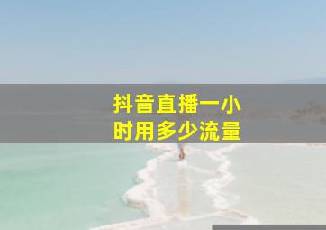 抖音直播一小时用多少流量