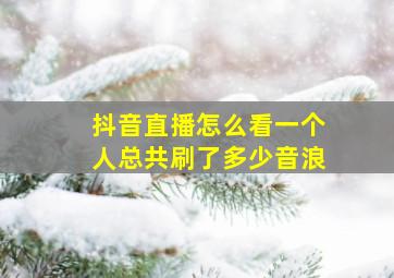 抖音直播怎么看一个人总共刷了多少音浪