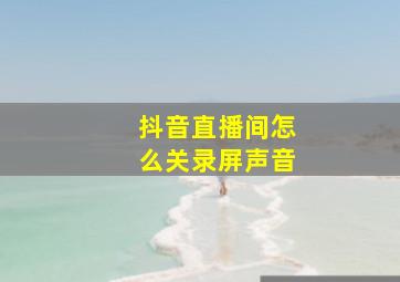 抖音直播间怎么关录屏声音