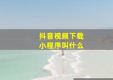 抖音视频下载小程序叫什么