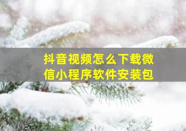 抖音视频怎么下载微信小程序软件安装包