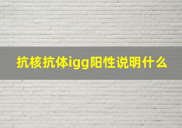 抗核抗体igg阳性说明什么