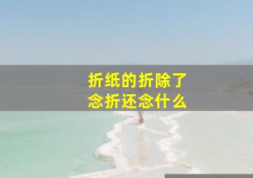 折纸的折除了念折还念什么