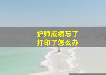 护师成绩忘了打印了怎么办