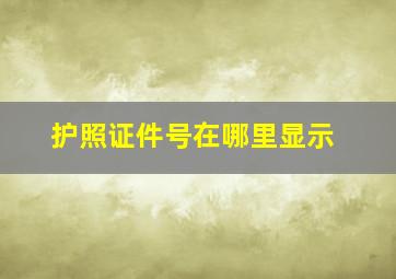 护照证件号在哪里显示