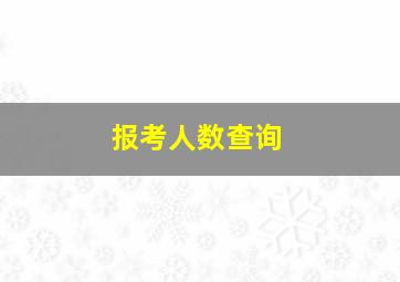 报考人数查询