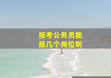 报考公务员能报几个岗位啊