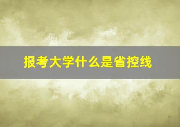 报考大学什么是省控线