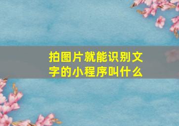 拍图片就能识别文字的小程序叫什么