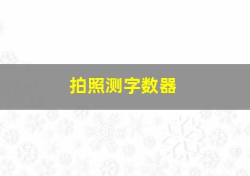 拍照测字数器