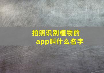 拍照识别植物的app叫什么名字