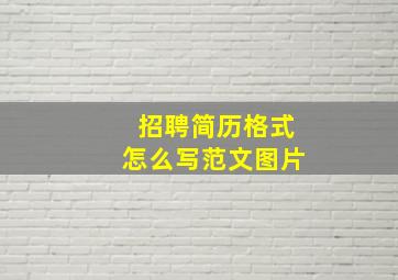 招聘简历格式怎么写范文图片