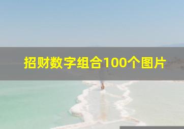 招财数字组合100个图片