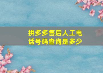 拼多多售后人工电话号码查询是多少