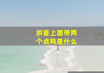 拼音上面带两个点吗是什么