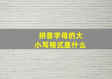 拼音字母的大小写格式是什么