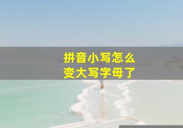 拼音小写怎么变大写字母了