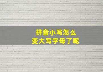 拼音小写怎么变大写字母了呢