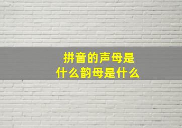 拼音的声母是什么韵母是什么