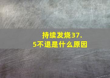 持续发烧37.5不退是什么原因