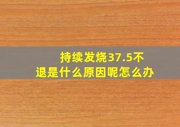 持续发烧37.5不退是什么原因呢怎么办