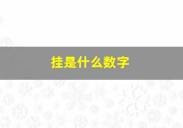 挂是什么数字