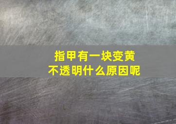 指甲有一块变黄不透明什么原因呢