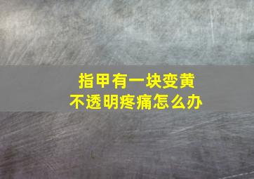 指甲有一块变黄不透明疼痛怎么办